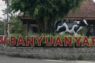 banyuanyar