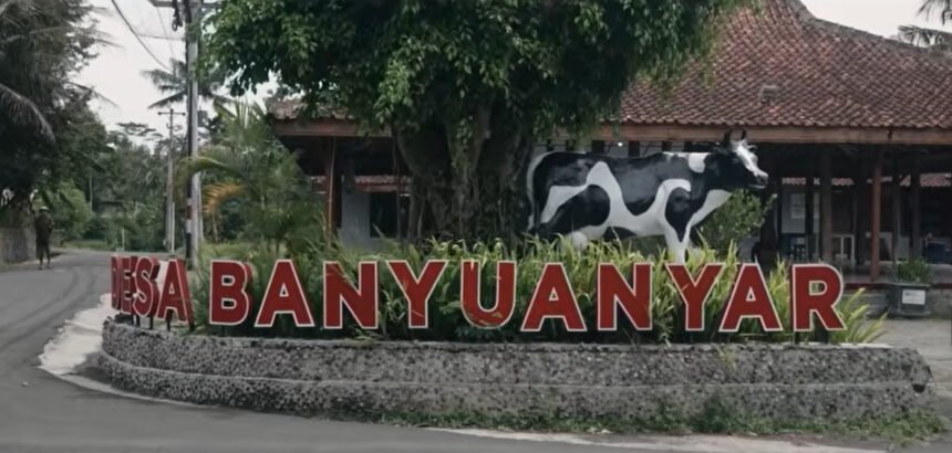 banyuanyar