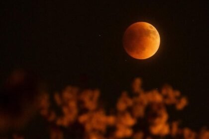 Bukan Sekadar Titik Putih, Rahasia Memotret Gerhana Bulan Lewat Smartphone