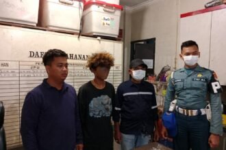 TNI AL Gagalkan Penyelundupan 200 Gram Ganja di Pelabuhan Jayapura