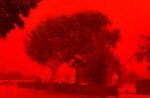 Australia Diselimuti Langit Merah Fenomena Alam yang Tidak Biasa