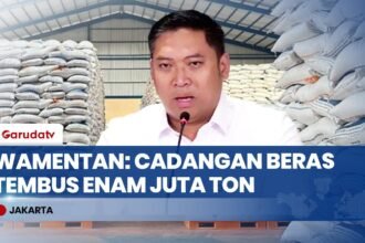 Kabar Gembira Jelang Lebaran, Wamentan Pastikan Stok Pangan Melimpah dan Harga Stabil