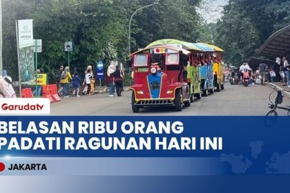 MODAL 4 RIBU! Ragunan Diserbu Belasan Ribu Pengunjung H+2 Lebaran, Intip Keseruan Kasih Makan Satwa!