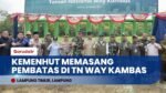 SOLUSI PERMANEN! Anggaran 850 Miliar Disiapkan Demi Akhiri Konflik Gajah & Warga di Way Kambas!