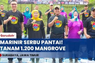 AKSI NYATA MARINIR! Rayakan HUT Ke-25, Pasmar 2 Tanam 1.200 Mangrove di Kenjeran