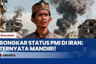 Menteri P2MI Bongkar Status PMI di Iran: Berangkat Mandiri & Mayoritas Pekerja Rumah Tangga