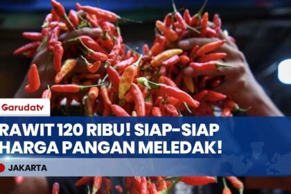 Update Harga Sembako Jakarta: Cabai Rawit Tembus 120 Ribu, Telur Ayam Mulai Merangkak Naik!