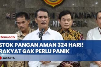 TENANG! Mentan Jamin Stok Beras Aman Hingga 324 Hari ke Depan, Siap Hadapi Krisis Global!