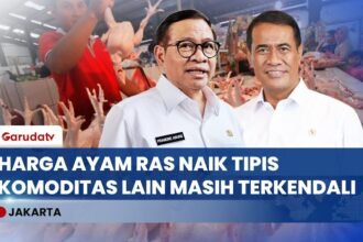 Mentan dan Gubernur DKI Pastikan Stok Pangan Aman Jelang Lebaran, Tidak Panic Buying