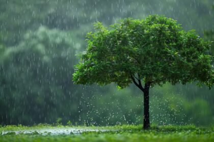 Efek Siklon Narelle: BMKG Ingatkan Potensi Hujan Lebat dan Angin Kencang, Ini Daftar Wilayahnya