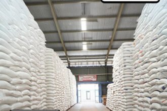 Pemerintah memperkuat cadangan pangan nasional untuk menghadapi ancaman Godzilla El Nino dan menjaga stabilitas harga.