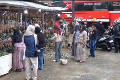 Pemudik berburu oleh-oleh khas Karanganyar dan nanas Subang, dorong omzet UMKM melonjak saat Lebaran.