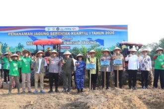 Program penanaman jagung serentak di Kabupaten Pelalawan, Riau, dinilai menjadi contoh kuat kolaborasi Polri, pemerintah daerah, dan petani dalam memperkuat produksi pangan nasional.