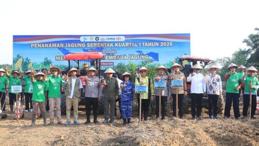 Program penanaman jagung serentak di Kabupaten Pelalawan, Riau, dinilai menjadi contoh kuat kolaborasi Polri, pemerintah daerah, dan petani dalam memperkuat produksi pangan nasional.
