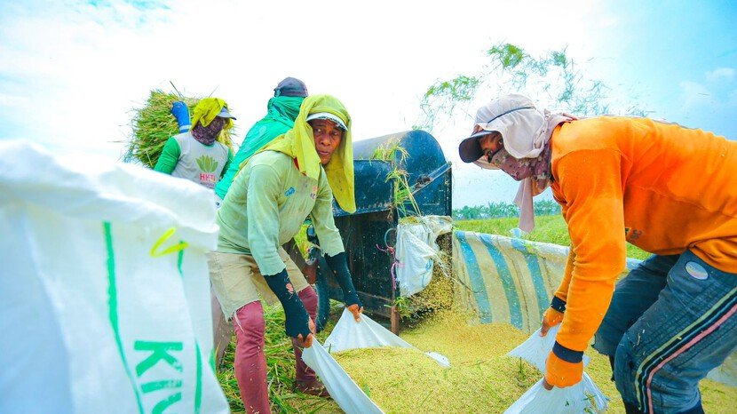 Stok pangan nasional melimpah dan harga stabil jelang Lebaran 2026 membawa kebahagiaan bagi petani, pedagang, dan masyarakat.