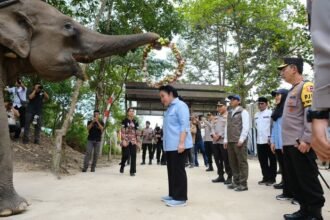 Kapolri dan Titiek Soeharto meninjau langsung upaya pemulihan habitat gajah di Tesso Nilo.