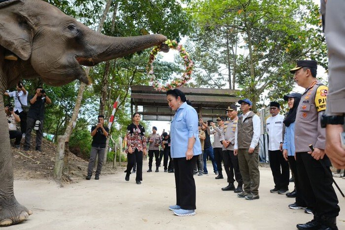 Kapolri dan Titiek Soeharto meninjau langsung upaya pemulihan habitat gajah di Tesso Nilo.