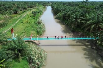 Presiden Prabowo Subianto meresmikan ratusan jembatan baru di berbagai daerah sebagai langkah memperkuat konektivitas wilayah terpencil.