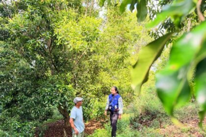 Inspiratif, Mantri BRI di Sultra Tembus Pegunungan Gerakkan Ekonomi Rakyat