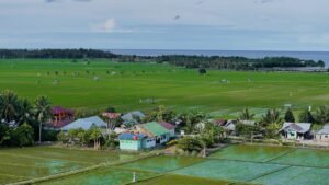 ‎Desa Sausu Tambu Tumbuh, Ekonomi Pesisir Melesat