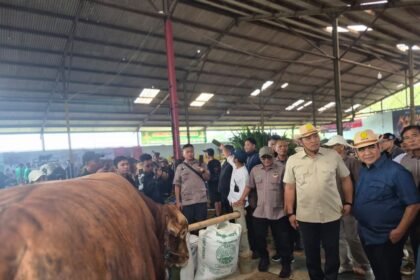 Wamentan Sudaryono Dorong Wonosobo Jadi Sentra Susu Nasional