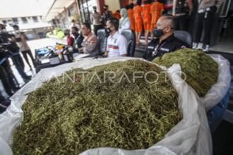 Geger Apartemen di Jakpus Jadi Lab Narkoba, 5 Kg Tembakau Disita