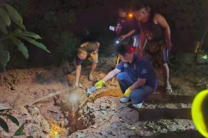 Tragedi "Anak Durhaka" di Lahat, Habisi Nyawa Ibu Demi Emas Rp75 Juta untuk Judi Online