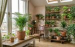 Tanaman indoor ternyata memiliki manfaat lebih dari sekadar dekorasi rumah. Lavender, lidah mertua, lidah buaya, hingga peace lily mampu membantu menyaring polusi udara, meningkatkan kelembapan, mengurangi stres, dan menciptakan lingkungan hunian yang lebih sehat.