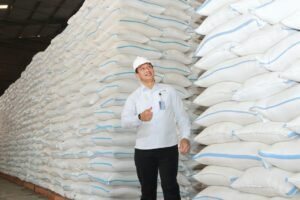 Stok Beras Nasional 4,6 Juta Ton Tersebar Merata di Seluruh Indonesia, Aman Hadapi El Nino