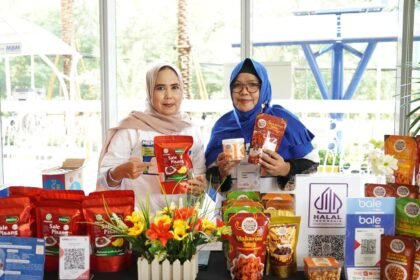 Kisah PNM Berdayakan Ibu-Ibu Prasejahtera Hingga Juara Nasional Lewat Mekaarpreneur