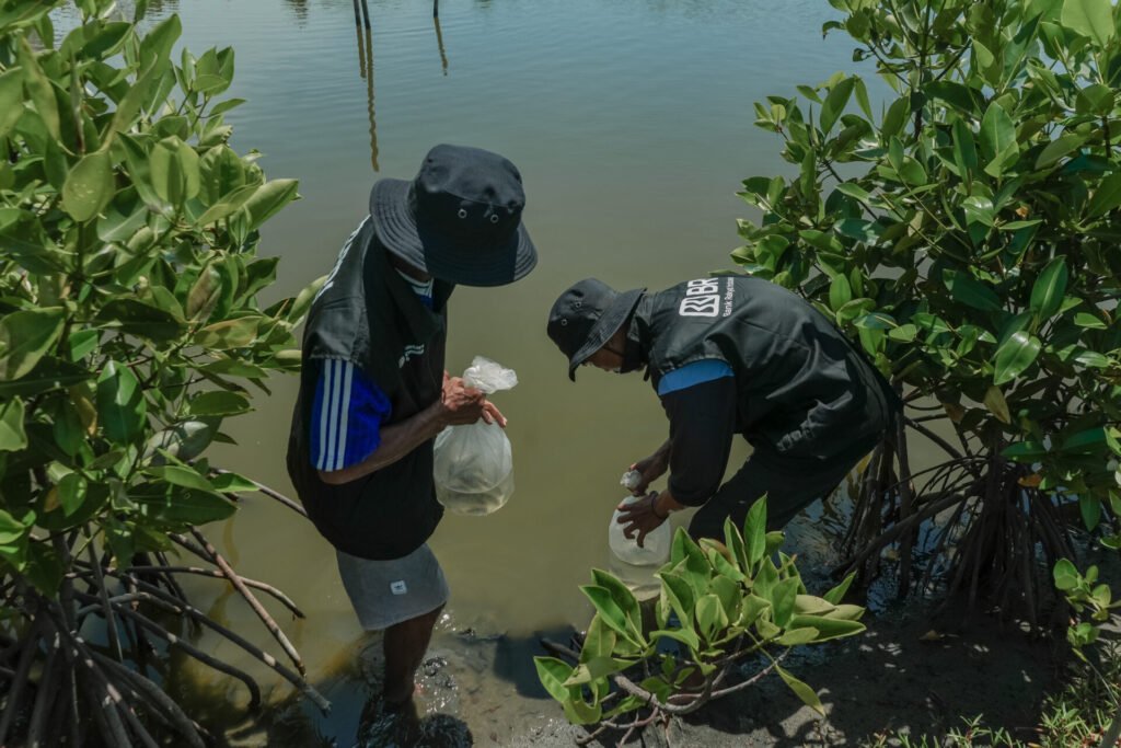 Peringati Hari Bumi, BRI Perkuat Komitmen Jaga Ekosistem Pesisir Lewat Penanaman Mangrove di Muara Gembong Bekasi 2 Peringati Hari Bumi, BRI Perkuat Komitmen Jaga Ekosistem Pesisir Lewat Penanaman Mangrove di Muara Gembong Bekasi