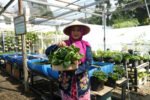 Dari Kartini untuk Bumi: BRI Berdayakan Perempuan Lewat Urban Farming Program BRInita