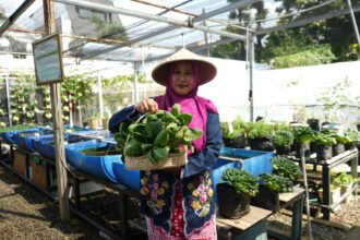Dari Kartini untuk Bumi: BRI Berdayakan Perempuan Lewat Urban Farming Program BRInita