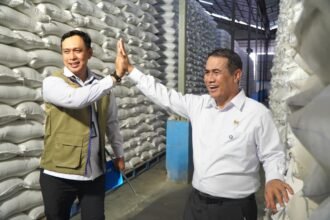 BULOG Cetak Rekor Sepanjang Sejarah, Stok Beras Tembus 5 Juta Ton
