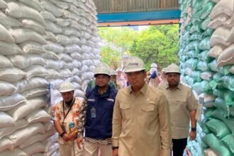 Tertinggi Sepanjang Sejarah, Wamentan Sudaryono: Stok Beras RI Tembus 5 Juta Ton di Era Presiden Prabowo