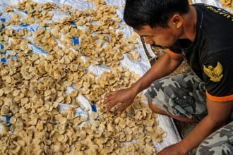 Sentuhan Pemberdayaan BRI Perkuat Lompatan Desa Sumberejo Pacitan Jadi Motor Ekonomi Desa yang Kian Bersinar