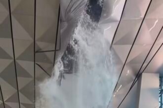 Viral Atap Terminal 3 Bandara Soetta, Angkasa Pura: Hanya 5 Menit dan Sudah Kondusif