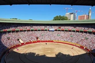 Tragis, Mantan Matador Ternama Tewas Diseruduk Banteng Jelang Pertunjukan