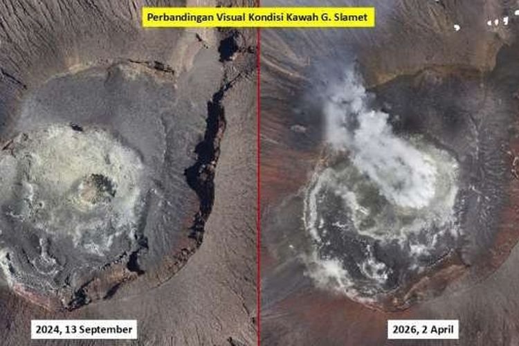 Suhu Kawah Gunung Slamet Tembus 464°C, Seluruh Jalur Pendakian Resmi Ditutup