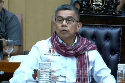 Hinca Panjaitan Sindir Kajari Karo: "Brownies itu Untuk Membujuk Rayu Dia Supaya Enggak Ribut"
