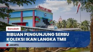 Seru Banget! Intip Koleksi Ikan Langka di Dunia Air Tawar TMII, Pas Buat Liburan Edukasi!