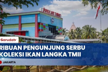 Seru Banget! Intip Koleksi Ikan Langka di Dunia Air Tawar TMII, Pas Buat Liburan Edukasi!