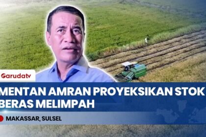 Hadapi El Nino "Godzilla", Pemerintah Jamin Stok Pangan Nasional Aman Hingga 11 Bulan