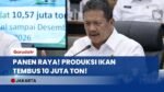 STOK PROTEIN AMAN! KKP Proyeksikan Produksi Ikan Tembus 10,57 Juta Ton, Nelayan Makin Produktif!