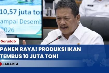 STOK PROTEIN AMAN! KKP Proyeksikan Produksi Ikan Tembus 10,57 Juta Ton, Nelayan Makin Produktif!