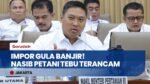 PETANI TEBU MENJERIT! Wamentan Sudaryono Skakmat Impor Gula Rafinasi yang Banjiri Pasar!
