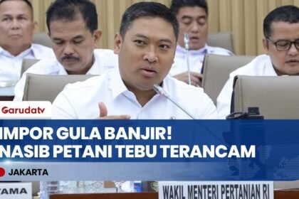 PETANI TEBU MENJERIT! Wamentan Sudaryono Skakmat Impor Gula Rafinasi yang Banjiri Pasar!