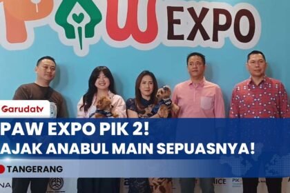 SURGANYA ANABUL! Paw Expo 2026 PIK 2 Resmi Dibuka, Ada Mini Zoo Sampai Kontes Internasional!