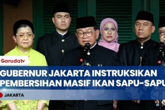 Jaga Ekosistem Perairan, Gubernur Pramono Anung Dukung Pembersihan Masif Ikan Sapu-Sapu