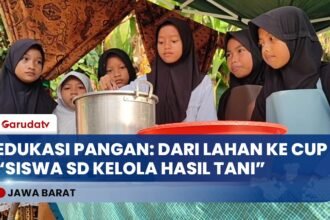 Siswa SD Belajar Ketahanan Pangan: Menanam hingga Jual Olahan Jagung per Cup